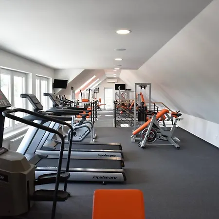 Fwu Fitness Wellness 3* Borsky Mikulas
