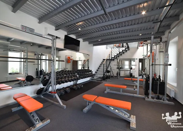 Fwu Fitness Wellness 3* Borsky Mikulas